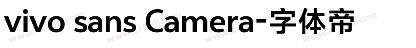 vivo sans Camera字体转换